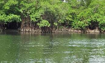 Imagem 6: Área Frontal 36000 m² em Barra do Itariri