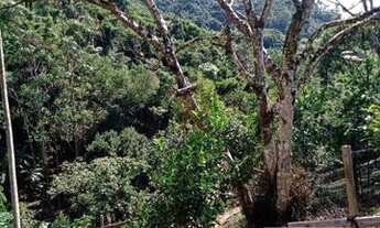 Imagem 5: BIGUAçU - Sítio - Área Rural de Biguaçu