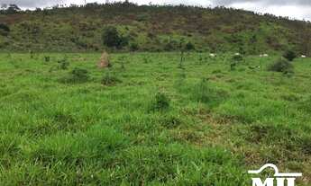 Imagem 3: Fazenda em Confresa-MT. > 505 Alq. (2.444 Há