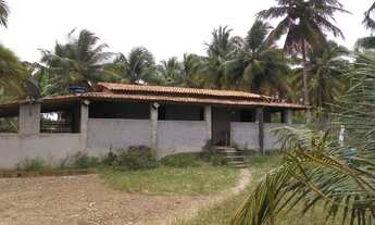 Imagem 3: Chácara 10.306 m² em Conde bahia