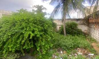 Imagem 7: Jd 13 Maio, casa em rua principal ,terreno 13x32 Aceito permuta