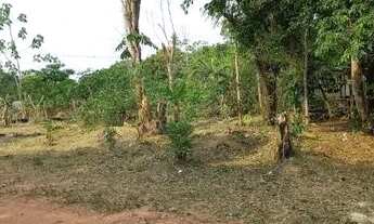 Imagem 4: Terreno Iranduba Caldeirão Algumas plantações. Tem água encanada Eletricidade L