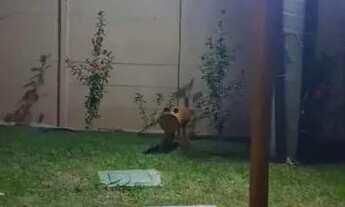 Imagem 3: Alugo apartamento 2 quartos