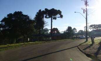 Imagem 2: Terreno no bairro Canelinha em Canela!