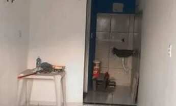 Imagem 5: Kitnet Casa com 1 dormitório