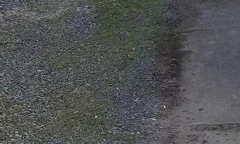 Imagem 6: Aluga-se Casa com 1 dormitório