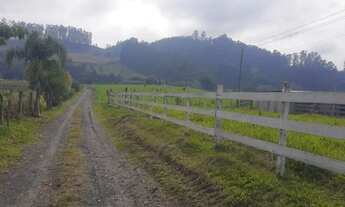 Imagem 3: SITIO 45 HECTARES PARA CRIAÇÃO GADO CORTE E LEITE - ITUPORANGA - SC