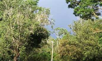 Imagem: Fazenda 23 alqueires na região da viúva