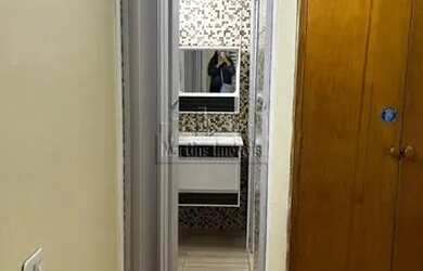 Imagem 6: Locação de Apartamentos / Padrão na cidade de São Paulo