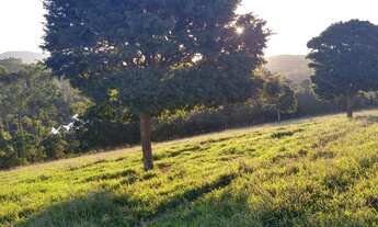 Imagem 3: Lotes próximo a represa