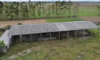 Imagem 5: Área as margens da BR 101, Linhares - ES