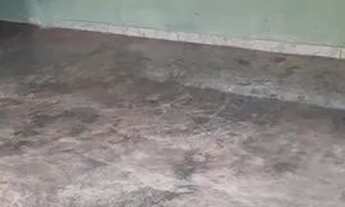 Imagem 3: Alugo ap no caranã