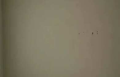 Imagem 2: Aluga-se kit Casa com 1 dormitório