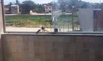 Imagem 4: Alugo uma casa em jardim atlântico