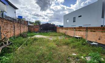 Imagem 2: Terreno em Rua Pública - Vendo Lote de 250m2, Jardim Versailles, bairro Planalto, Manaus/A