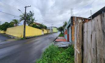 Imagem 3: Terreno em Rua Pública - Vendo Lote de 250m2, Jardim Versailles, bairro Planalto, Manaus/A