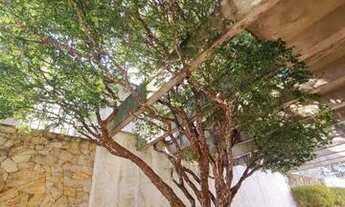 Imagem 5: CASA ASSOBRADADA - PLANALTO PAULISTA - SP