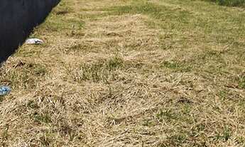 Imagem 3: Terreno terra verde