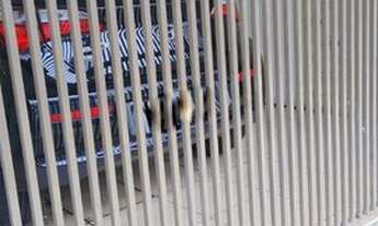 Imagem 2: Sobrados para venda em São Paulo no bairro Sapopemba