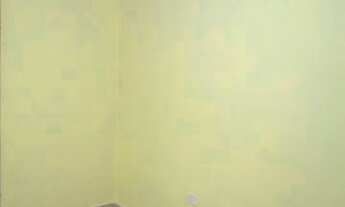 Imagem 7: CASA TÉRREA PARA LOCAÇÃO - IPIRANGA