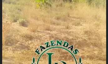 Imagem 4: Oportunidade Fazenda pra Lavoura 918 Alqueires ou Seja 4.444 Hectares, Beira Rio Plana