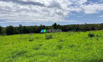 Imagem 2: FAZENDA À VENDA - 273 HECTARES - TRÊS MARIAS (MG