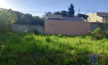 Imagem 4: LOTE A VENDA DEL REY ,SÃO JOSE DOS PINHAIS