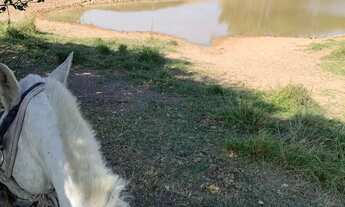 Imagem 7: Fazenda com 517 hectares na região entre a cidade de Nossa Senhora do Livramento