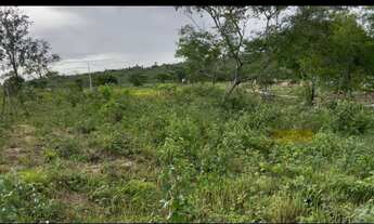 Imagem 2: Terreno no melhor do Retiro de Coração de Maria Ba