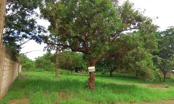 Imagem: Lote à Venda, Plano Diretor Sul, Palmas