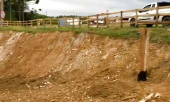 Imagem 2: Chácara em Mandirituba