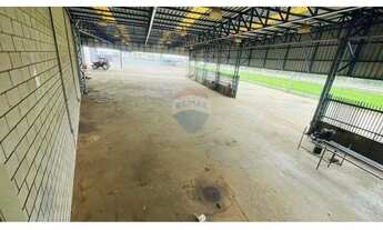 Imagem 5: Aluguel de Galpão Industrial às Margens da Rodovia Anhanguera, Próximo ao Aeroporto Leite