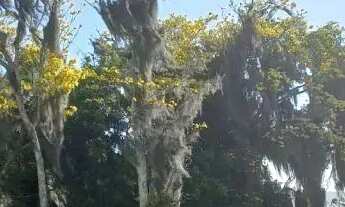 Imagem 4: CASA TÉRREA - VARGEM PEQUENA - SC