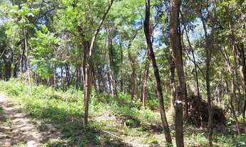 Imagem 4: Chácara 1000m com lagoa