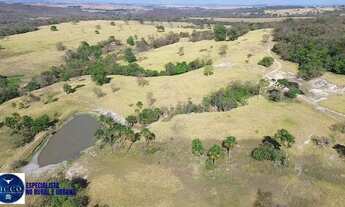 Imagem 6: Fazenda à Venda em Indiara - GO | 47 Alqueires