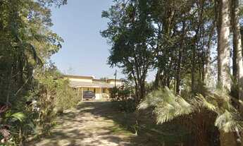 Imagem 5: Chacara proxima ao centro de juquitiba