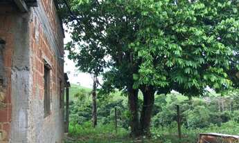 Imagem 2: Vendo Sítio com 2 Alqueires em Serrinha