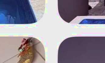 Imagem 2: Casa Temporada Cibratel 2- Itanhaém