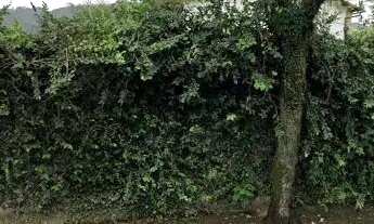 Imagem 3: Terreno Comercial em Piratininga 574m2 - Piratininga- RJ