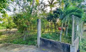 Imagem 2: Sítio à Venda, Tapera, Campos dos Goytacazes, RJ