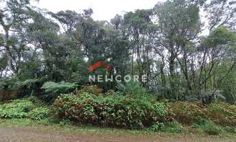 Imagem 3: Lote em Rua 21 Alpes - Alpes - São Francisco de Paula/RS