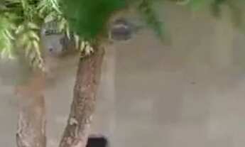 Imagem: Vendo uma casa no Marcos Freire 1