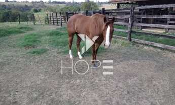 Imagem 6: Sítio à venda 25 alqueires (605.000 m²) Araçoiaba da Serra/SP