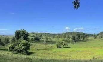 Imagem 7: Fazenda Agropecuária a Venda com 52 Alqueires mineiros