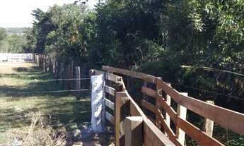 Imagem 6: Sitio com 15 hectares com várias estruturas, 4 km da cidade de Nova Mutum MT