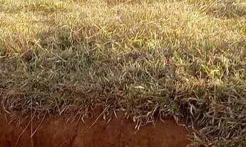 Imagem 4: Repasso lotes top demais ..