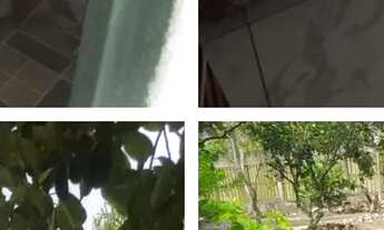 Imagem 4: Sitio Chácara com venda por R$180.000