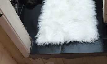 Imagem: Aluga-se Quartos para homens !! Contato