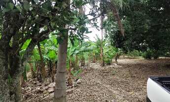 Imagem 4: Terreno plaino polenghi 35 km de Itapetininga, perto da fábrica polenghi