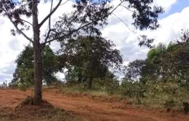 Imagem 4: Chácaras apenas 18 km de montes Claros estrada de Bocaiúva